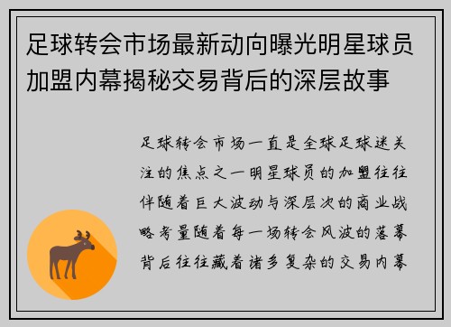 足球转会市场最新动向曝光明星球员加盟内幕揭秘交易背后的深层故事