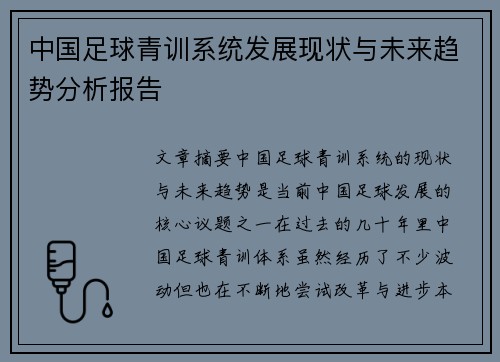 中国足球青训系统发展现状与未来趋势分析报告