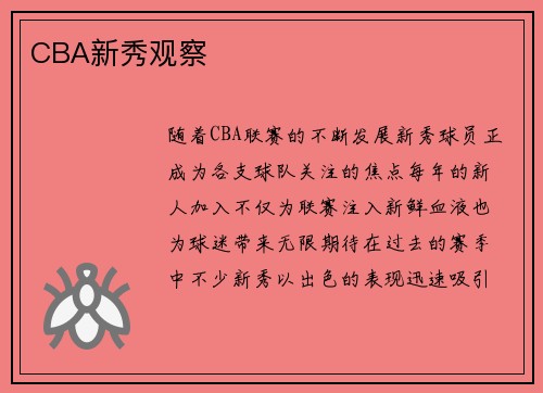 CBA新秀观察